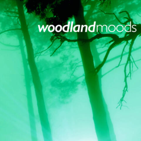 Woodland Moods
