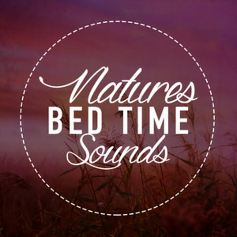 Nature's Bed Time Sounds