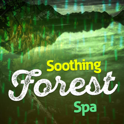 Soothing Forest Spa