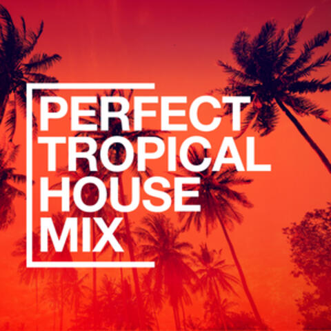 Perfect Tropical House Mix