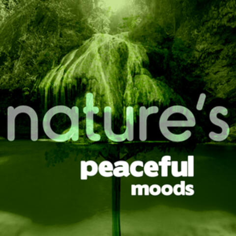Nature's Peaceful Moods