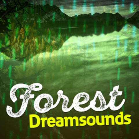 Forest Dreamsounds