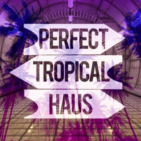 Perfect Tropical Haus