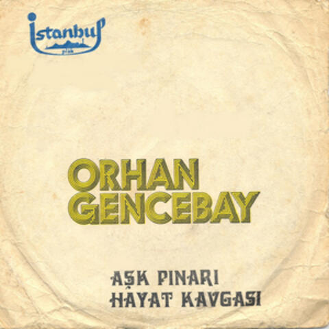 Aşk Pınarı / Hayat Kavgası (45'lik)