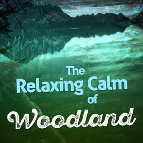 The Relaxing Calm of Woodland