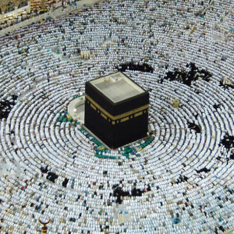 الشيخ عبد العزيز الاحمد