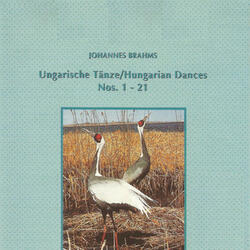 21 Hungarian Dances (Orchestra) No. 18 in D Major, WoO 1: I. Molto vivace