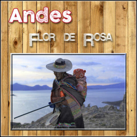 Flor de Rosa - Andes