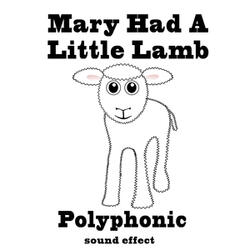 Mary Had a Little Lamb Fastest