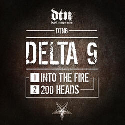 Into the Fire