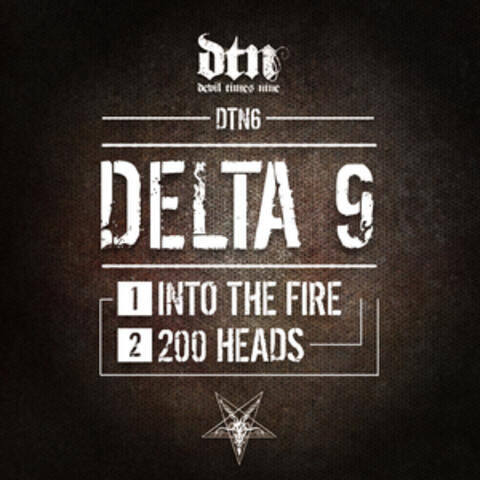 Into the Fire - 200 Heads