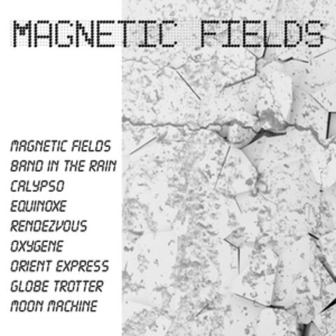Magnetic Fields