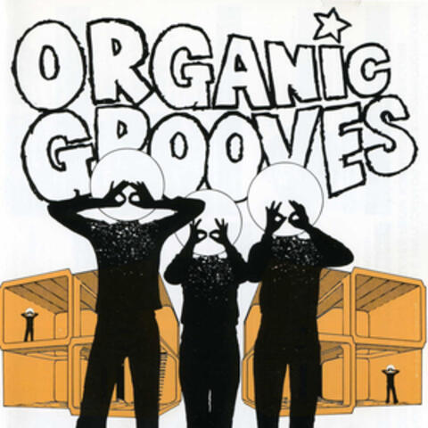 Organic Grooves 4: Live in Nyc