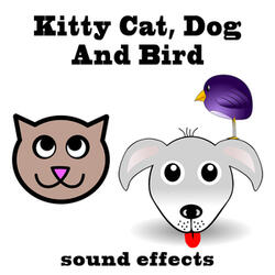 Kitty and Cat Extended