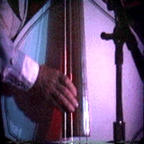Tribute to Elvis