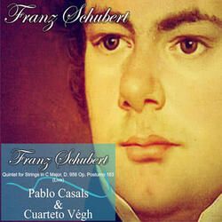 Quintet for Strings in C Major, D. 956 Op. Postumo 163: I. Allegro ma non troppo
