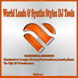 World Leads & Synths Styles 128