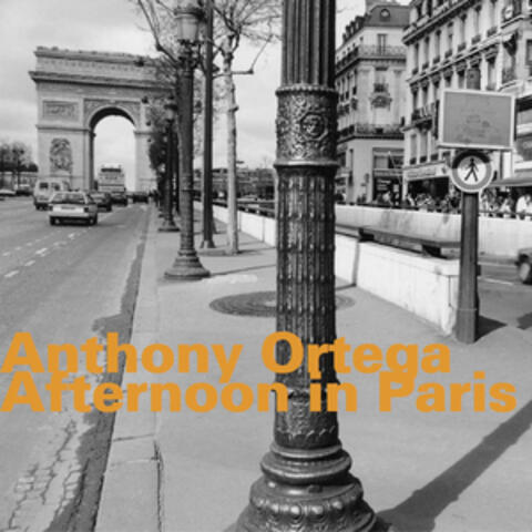 Afternoon in Paris