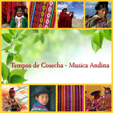 Tempos de Cosecha - Musica Andina