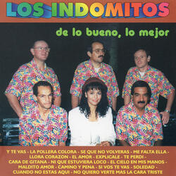 Cuando No Estás Aquí