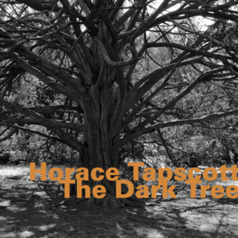The Dark Tree (Live)