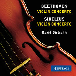 Violin Concerto in D Minor, Op. 47: I. Allegro moderato