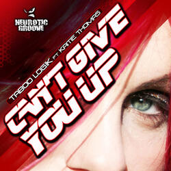 Can't Give You Up