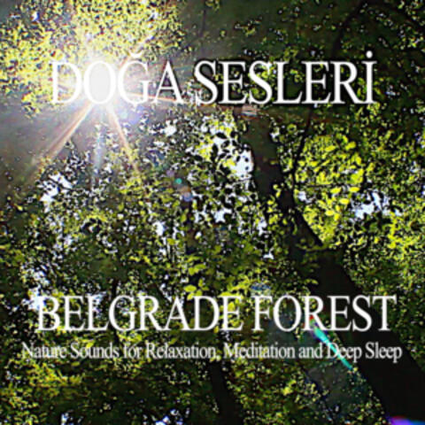 Belgrade Forest - Nature Sounds for Relaxation,Meditation and Deep Sleep