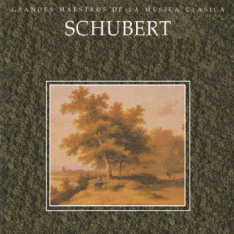 Grandes Maestros de la Musica Clasica - Schubert