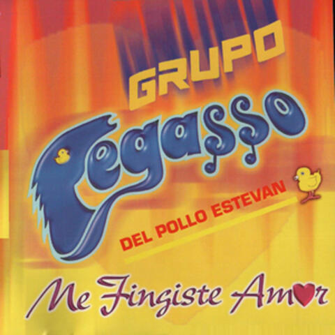Grupo Pegasso
