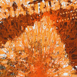 Cadastre Fantomatique