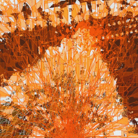 Logique Du Désordre