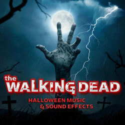 Main Title Theme Song (From "The Walking Dead")