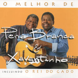 O Rei do Gado