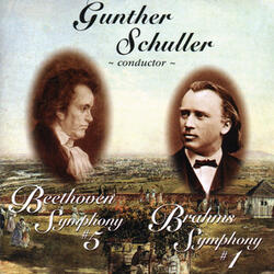 Symphony No. 5 in C Minor: III. Allegro
