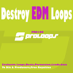 Destroy EDM Loops Arp 128