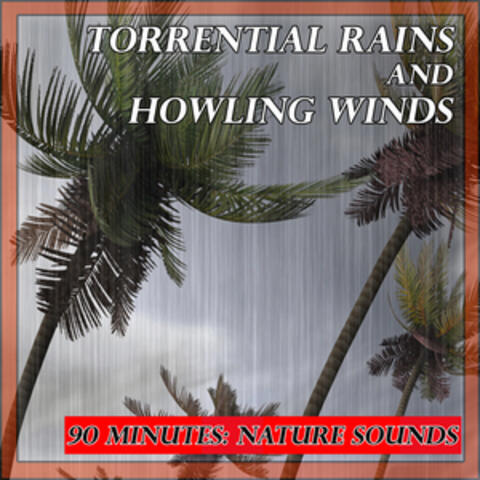 Sounds of Nature: Torrential Rains and Howling Winds