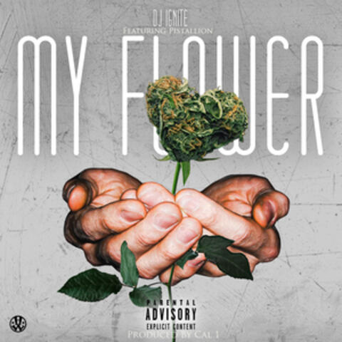 My Flower