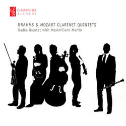 Clarinet Quintet in B Minor, Op. 115: I. Allegro