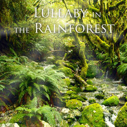 Voices of the Rainforests