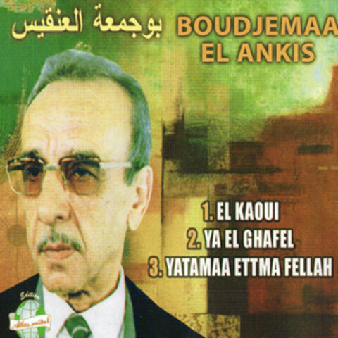 El kaoui