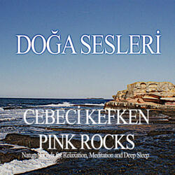 Pink Rocks Romance