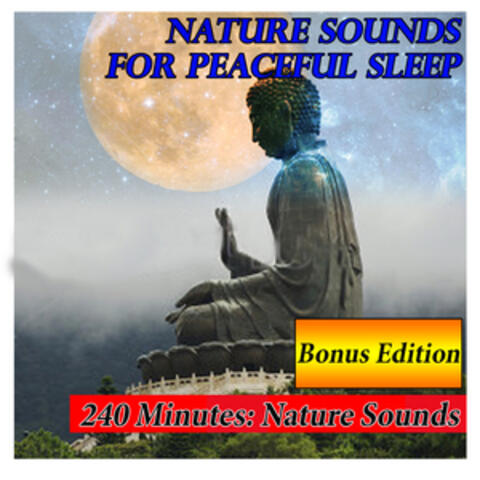 Nature Sounds for Peaceful Sleep: 240 Minutes Bonus Edition