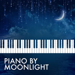 Piano Sonata No. 14 in C-Sharp Minor, Op. 27, No. 2 "Moonlight Sonata": I. Adagio sostenuto