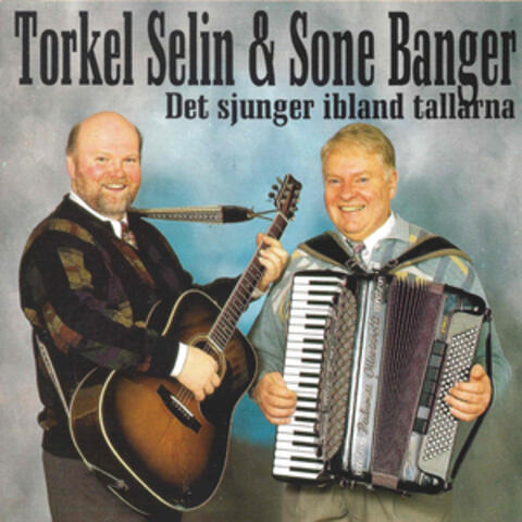 Det sjunger ibland tallarna