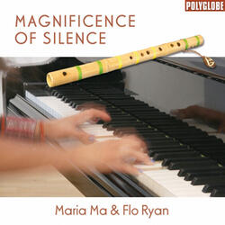 Magnificence of Silence