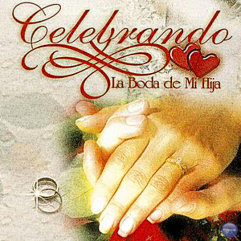 Celebrando la Boda de Mi Hija