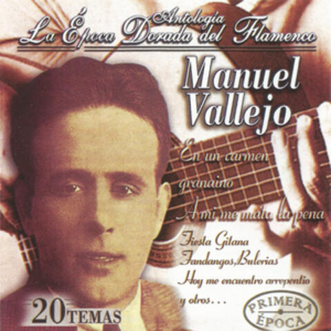 Manuel Vallejo, La Época Dorada del Flamenco