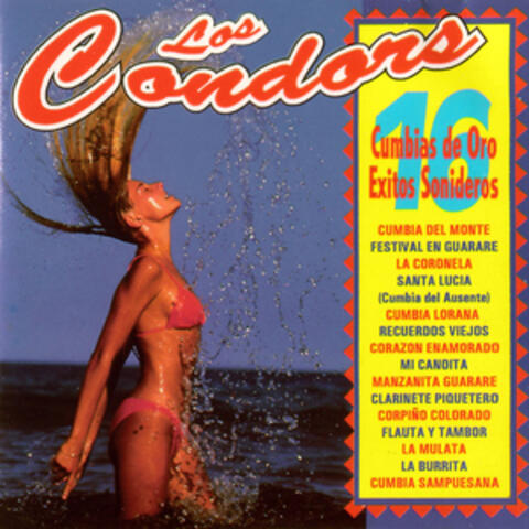 Los Condors