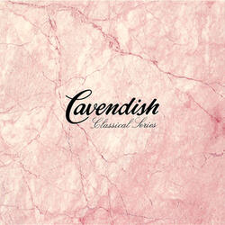 Violin Concerto In E Major BWV 1042: III. Allegro Assai